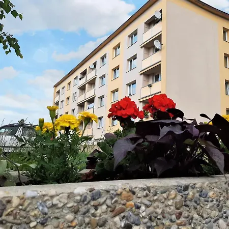 Apartment Helena By Interhome *